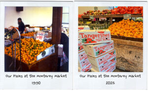Pixies at Monterey Market Berkeley